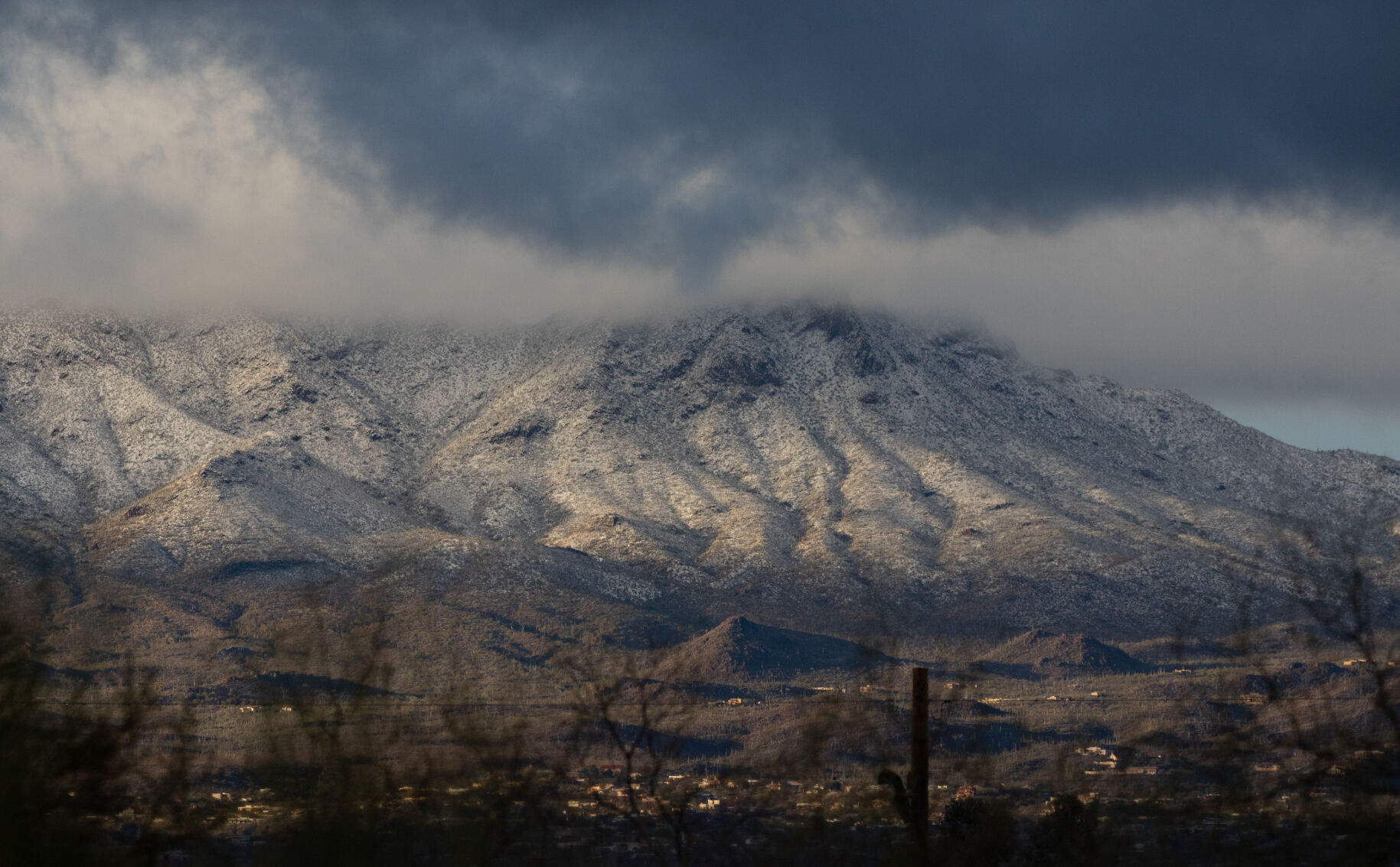 Snow in 蜜柚直播